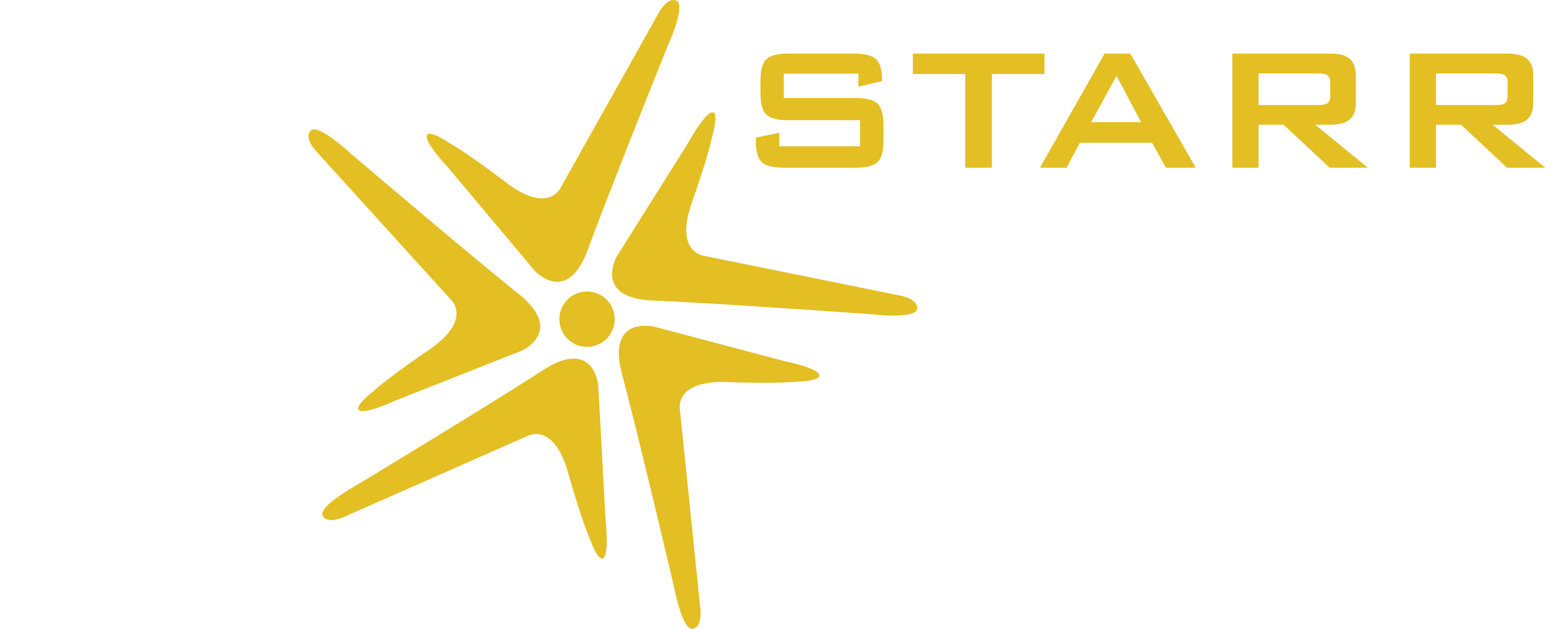 Starr Expo Logo